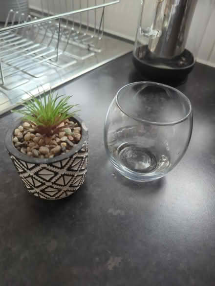 Photo of free Small plastic plant and pot (West Norwood SE27) #1