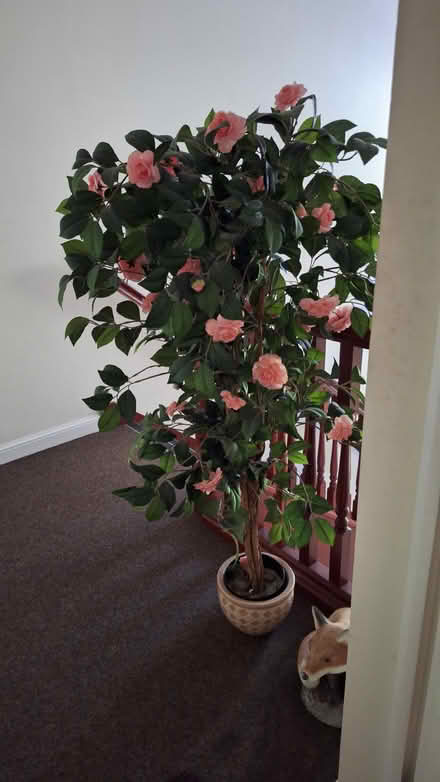 Photo of free In door flower arrangement (Purley on thames) #1