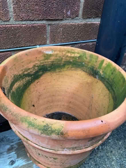 Photo of free Plant pot (Shelton Lock DE73) #2