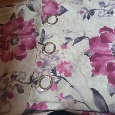 Photo of free Floral curtains (PR25 leyland) #2