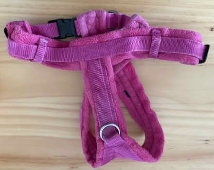 Photo of free Pink Dog Harness & Coat (Eastbourne BN23) #2