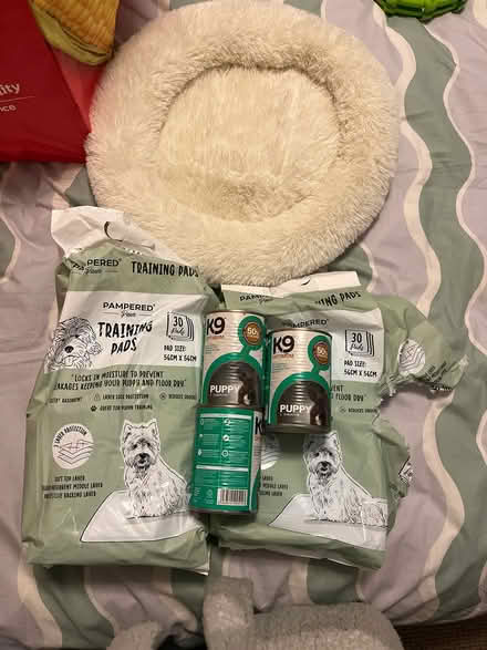 Photo of free Puppy bits (Shenley Brook End MK5) #1