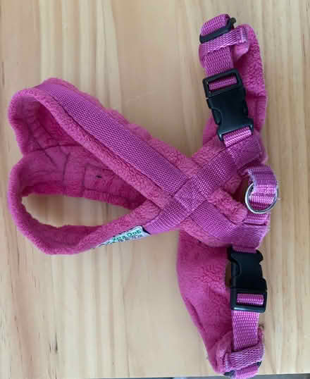 Photo of free Pink Dog Harness & Coat (Eastbourne BN23) #4