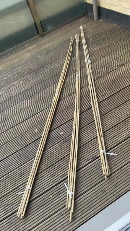 Photo of free 18, 8ft bamboo canes (Crystal Palace SE19) #1