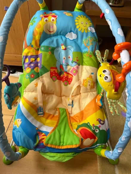Photo of free Tiny love Baby Bouncer (Hampton) #1