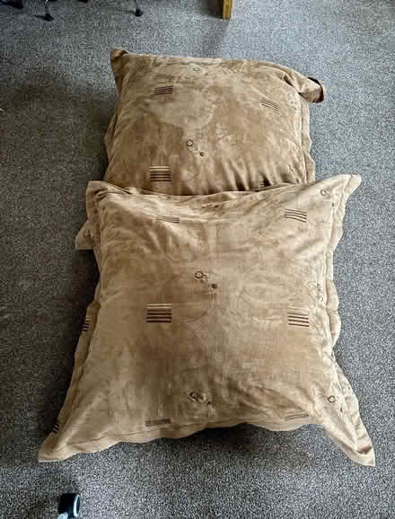 Photo of free 2 large floor cushions (Gosforth NE3) #1