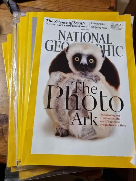 Photo of free National Geographic magazines (Chalford GL6) #1