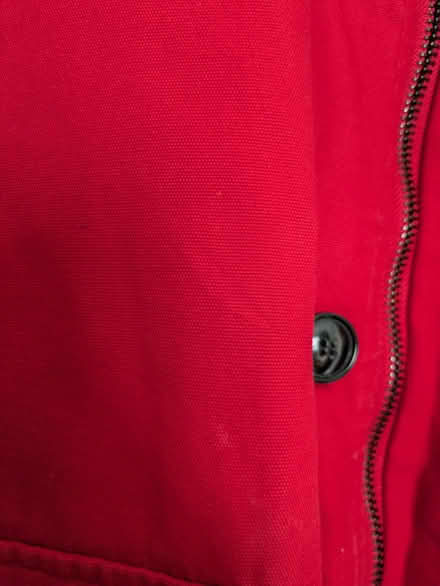Photo of free Another red one..... (Bachelor's Bump TN35) #1