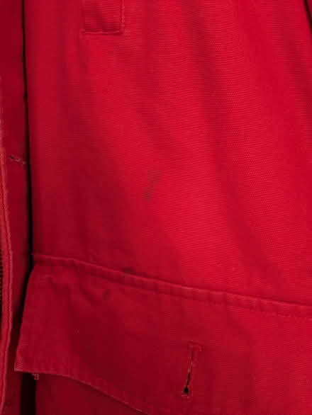 Photo of free Another red one..... (Bachelor's Bump TN35) #3