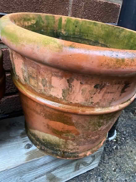 Photo of free Plant pot (Shelton Lock DE73) #4