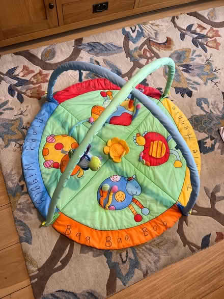 Photo of free Baby play mat (Hampton) #1