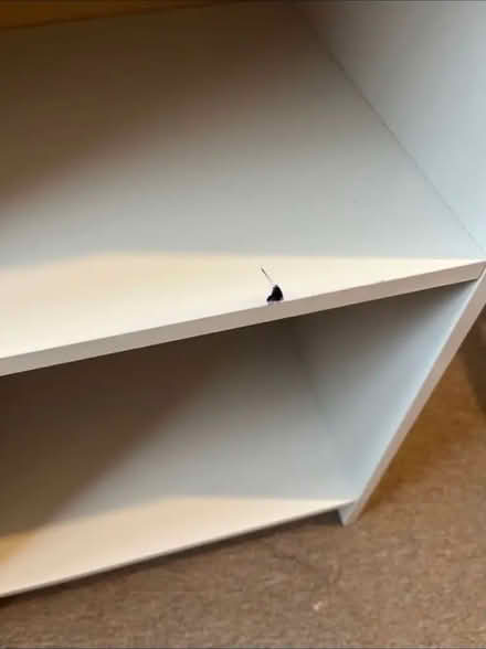Photo of free Book case (Cheshunt EN8,) #3