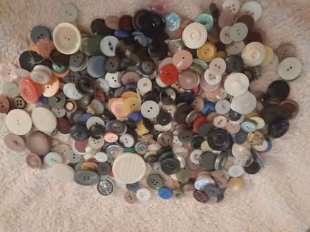 Photo of free Buttons.. lots of (Allenton) #4