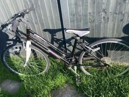 Photo of free Ladies bike (Hollybush Welwyn Garden City) #1