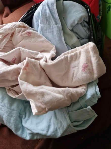 Photo of free Sheets (Sheffield S8 woodseats) #1