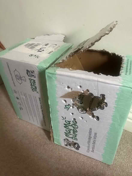 Photo of free Approx 20 packs of mama bamboo wipes (Shenley Brook End MK5) #1