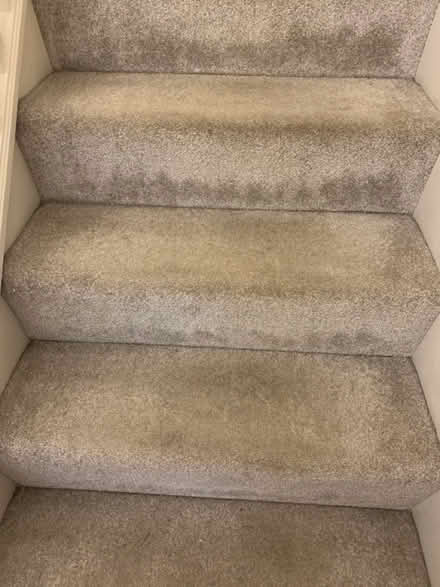 Photo of free Stair carpet (CW3 0BX) #1