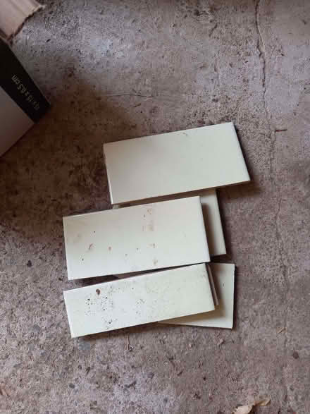 Photo of free Pale lemon glazed wall tiles. (Craig-y-don LL30) #1