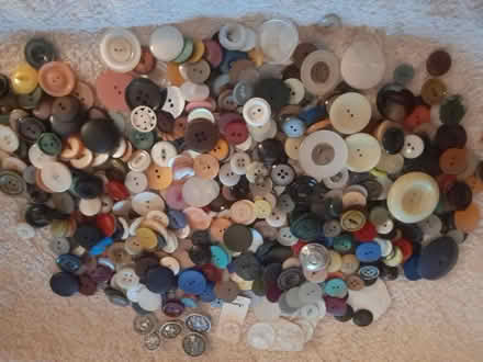 Photo of free Buttons.. lots of (Allenton) #1