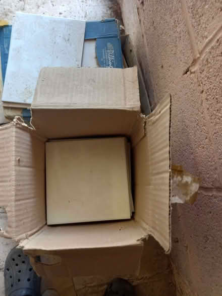 Photo of free Pale lemon glazed wall tiles. (Craig-y-don LL30) #2