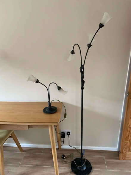Photo of free A Pair Of Lamps (Braintree CM7) #1