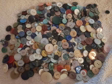Photo of free Buttons.. lots of (Allenton) #2
