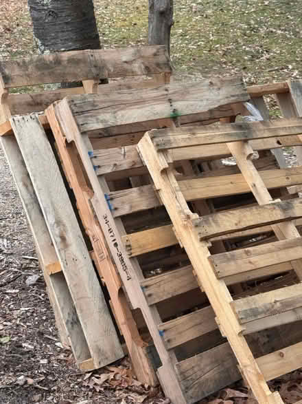 Photo of free 3 large Wood palates (Severna park md) #1