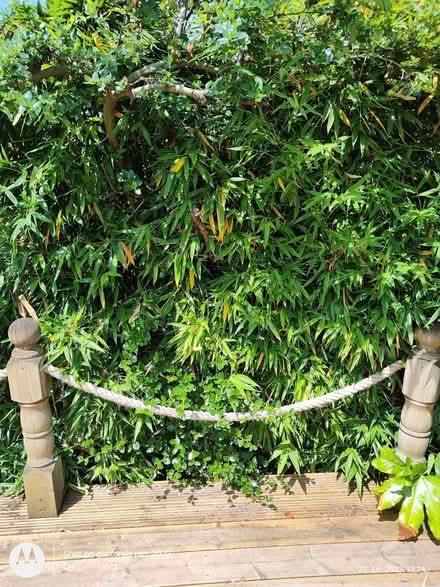 Photo of free Decking rope (Northwood HA5) #2