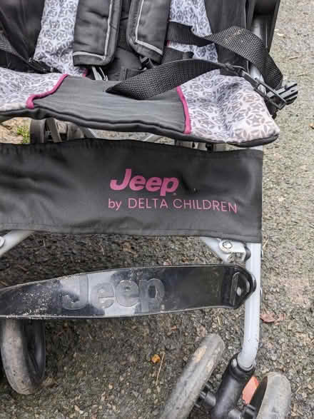 Photo of free Double buggy (Honor oak) #2