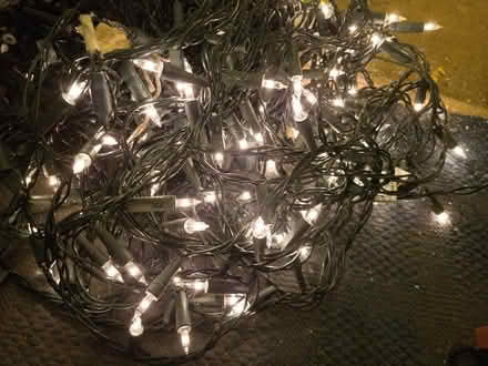 Photo of free Fairy lights - white (Temple Street OX4) #1