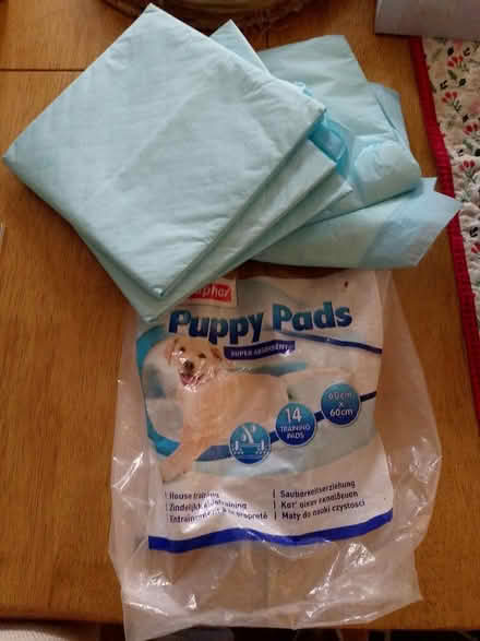 Photo of free Puppy training pads (Butts hill area BA11) #1