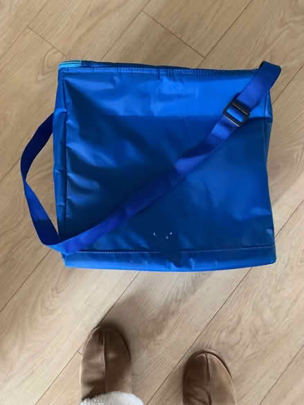 Photo of free Large insulated cool bag (London N21) #4