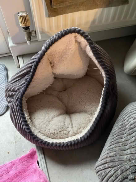Photo of free Cat/dod bed (Batheaston) #1