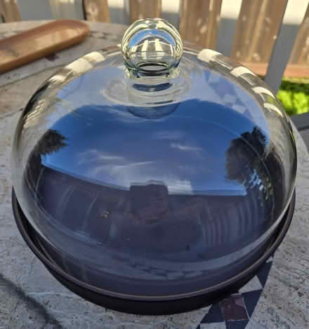 Photo of free Cake cover (N Mary Ave, Sunnyvale) #2