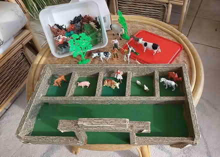 Photo of free zoo and farm animals (waterlooville) #2