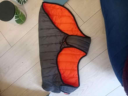 Photo of free Small dog jacket (Slateford EH14) #1