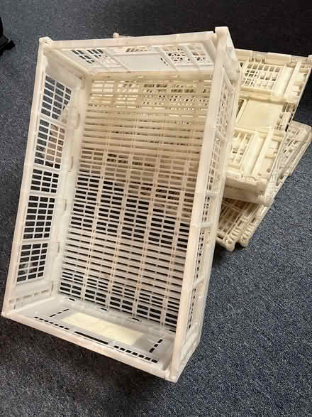 Photo of free 6 collapsible plastic crates (Brewster) #1