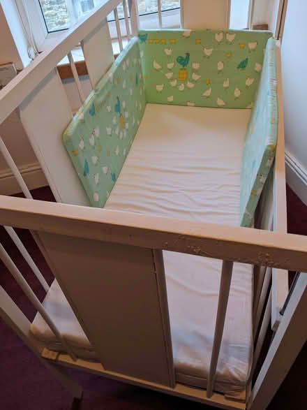 Photo of free Cot (Bashall Eaves BB7) #1