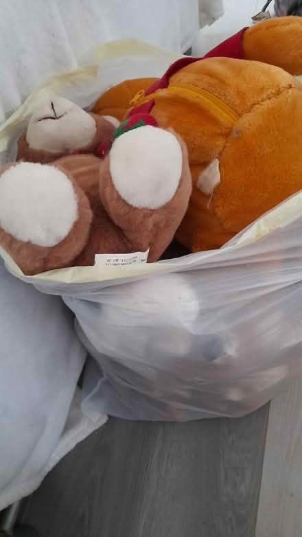 Photo of free Teddys/toys (Withington M20) #1