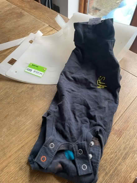 Photo of free Medi dog onesie and collar (Fareham PO14) #1