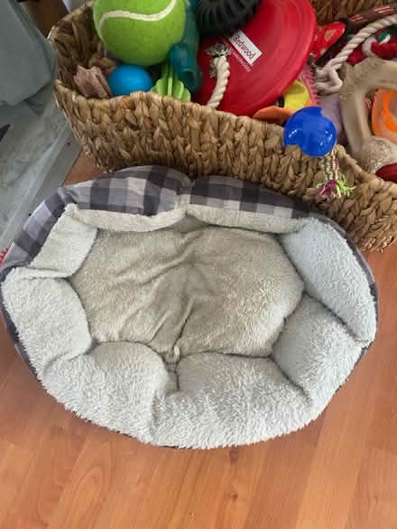 Photo of free Two more used dog beds (Oregon) #1