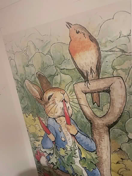 Photo of free Peter Rabbit big poster (CO1 Colchester) #2