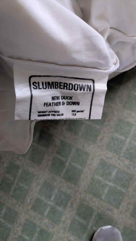 Photo of free Two Single Duvets - ideal for pet bedding (Caldy Valley CH3) #3