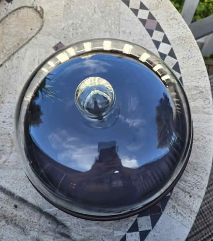 Photo of free Cake cover (N Mary Ave, Sunnyvale) #1