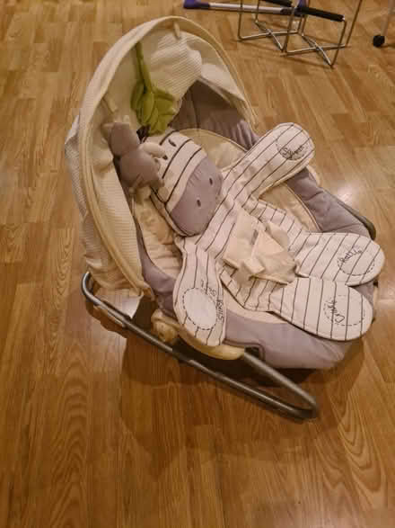 Photo of free Baby Bouncer (Islington North N7) #1