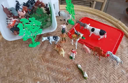 Photo of free zoo and farm animals (waterlooville) #1
