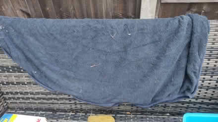 Photo of free Dog towel (Chislehurst BR7) #1