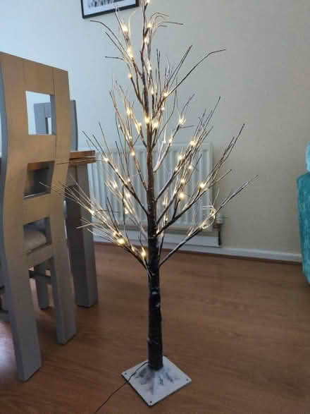 Photo of free Twig tree (Wadworth DN11) #1