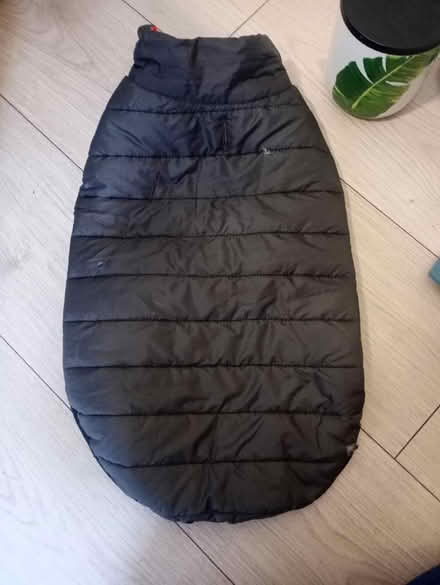 Photo of free Small dog jacket (Slateford EH14) #2
