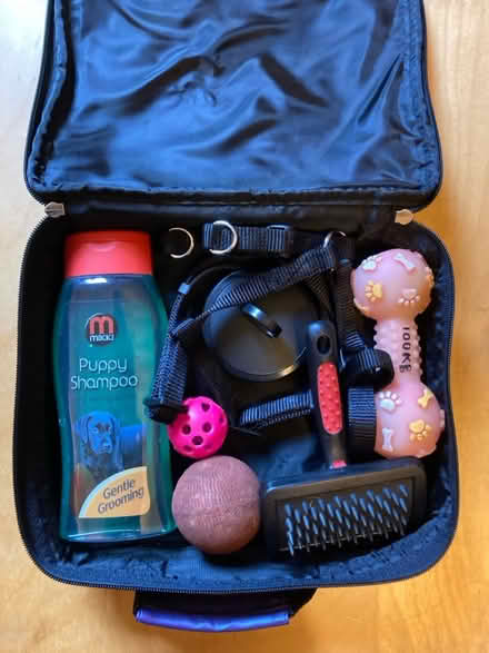 Photo of free Dog accessories (Walkley, S6) #1